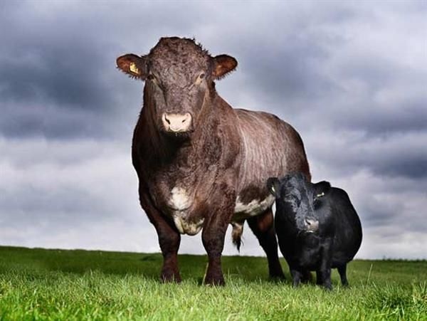 Самые маленькие (17 фото)