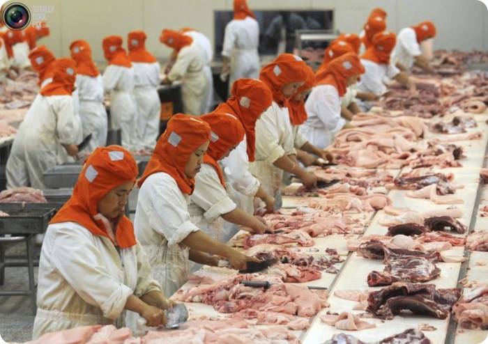 Китай: Всемирная Фабрика (36 фото + текст)