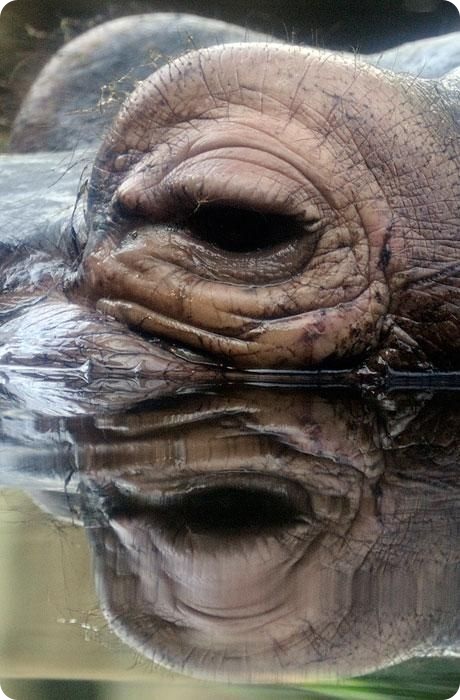 Новости в фотографиях за неделю (53 фото+текст)