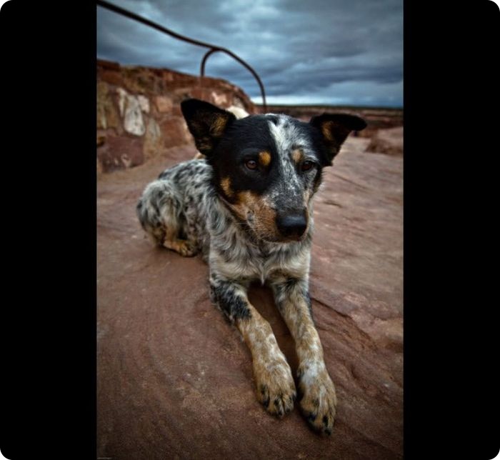 25 мест на планете, которые лучше всего получаются на фото (26 фото)