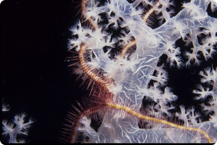 25 мест на планете, которые лучше всего получаются на фото (26 фото)