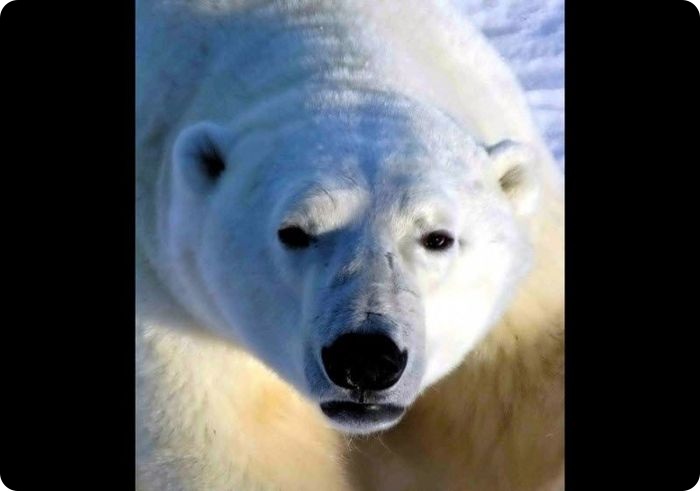 25 мест на планете, которые лучше всего получаются на фото (26 фото)