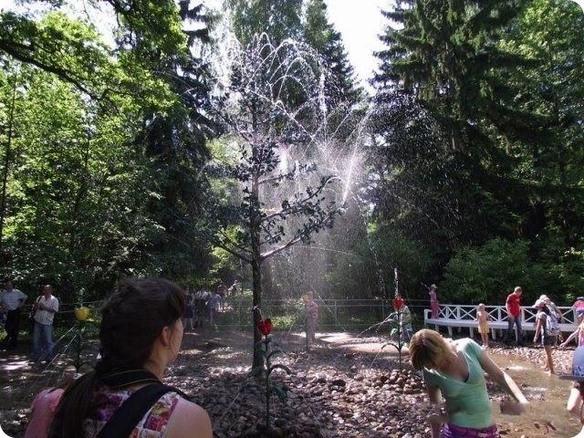 Раскрыта тайна Петергофа (13 фото)