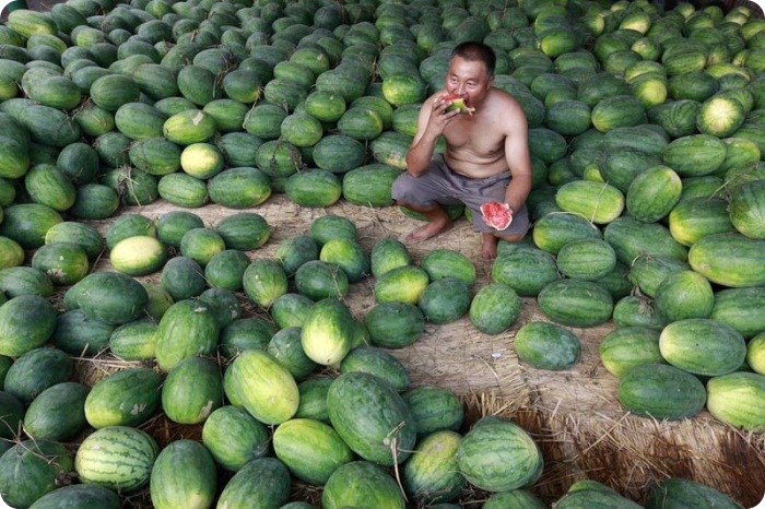 Новости в фотографиях (48 фото)