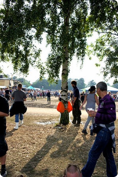 Туалеты на деревьях (8 фото)