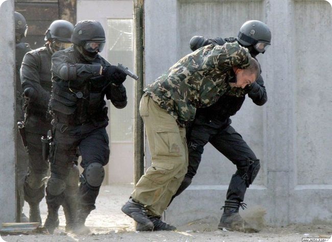 Люди одинаковых профессий найдут друг друга (10 фото)