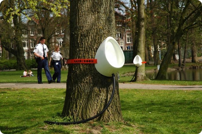 Туалеты на деревьях (8 фото)