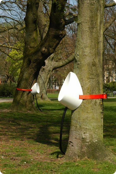 Туалеты на деревьях (8 фото)