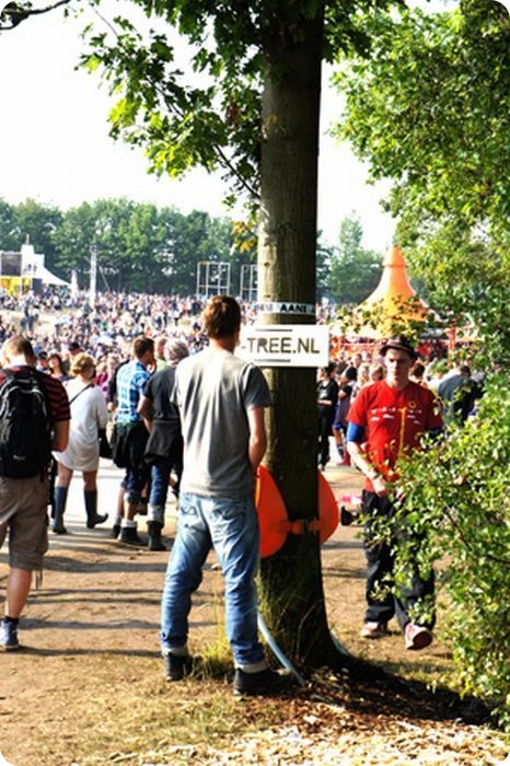 Туалеты на деревьях (8 фото)