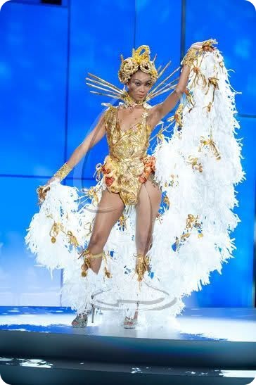 Мисс Вселенная - национальные костюмы 2011 (88 фото)