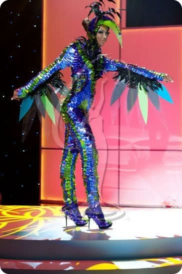 Мисс Вселенная - национальные костюмы 2011 (88 фото)