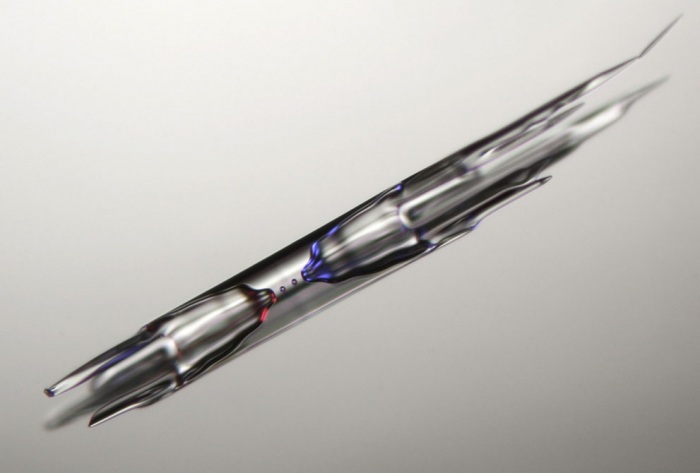 Nikon Small World 2011