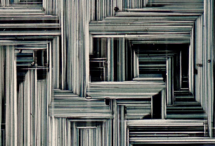 Nikon Small World 2011