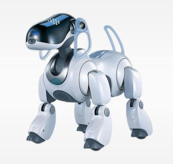 Просто фантастика (9 фото)