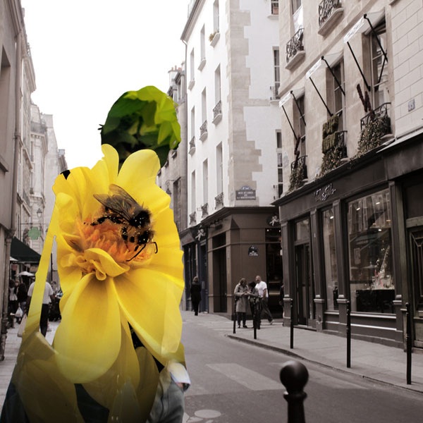 Фотоколлажи Начо Ормаеча