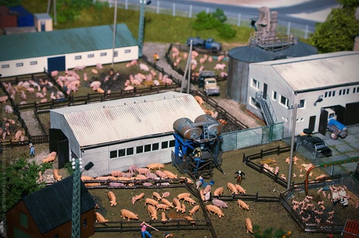 Огромный макет России (52 фото)