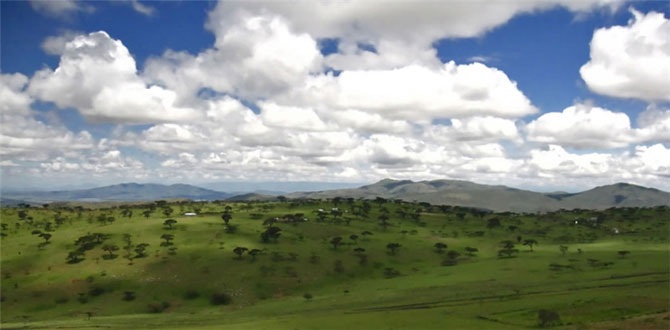 Удивительная Кения