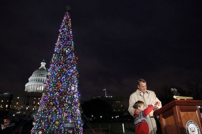 Новогодняя елка - символ нового года (28 фото)