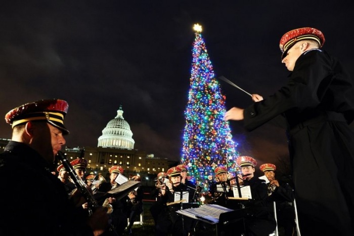 Новогодняя елка - символ нового года (28 фото)