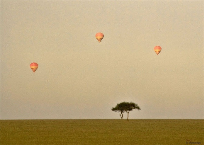 Удивительная Кения