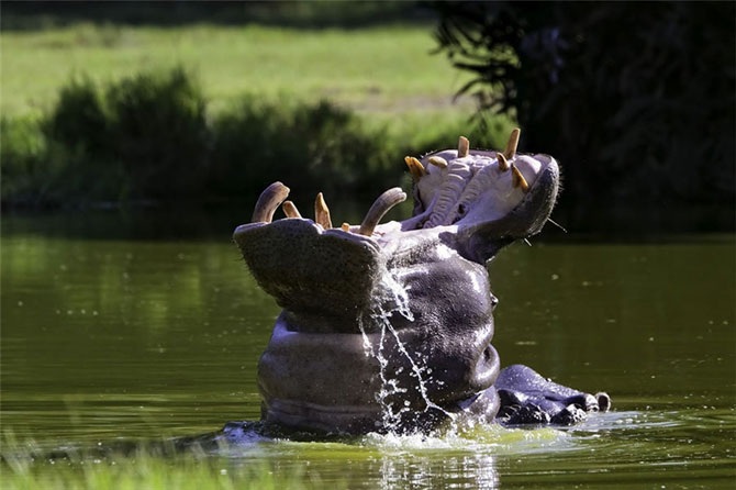 Удивительная Кения