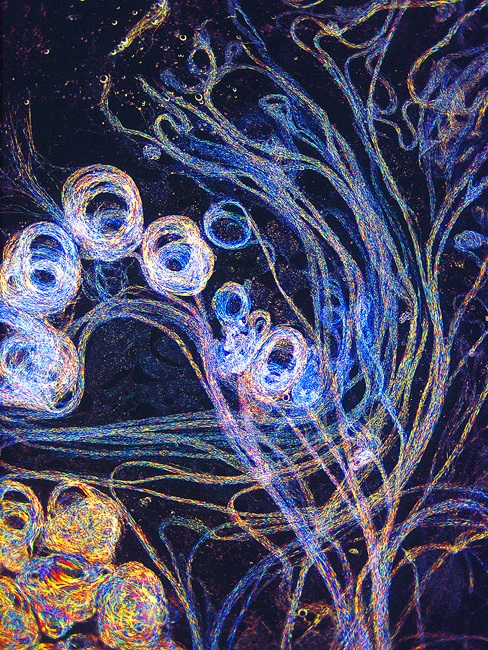 Необычный взгляд на обычные вещи