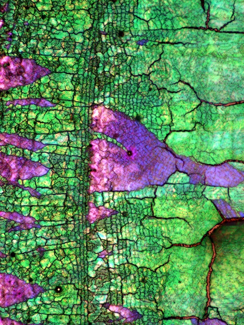 Необычный взгляд на обычные вещи