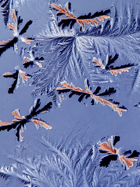 Необычный взгляд на обычные вещи