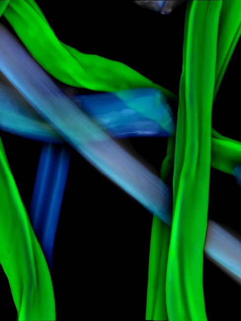 Необычный взгляд на обычные вещи