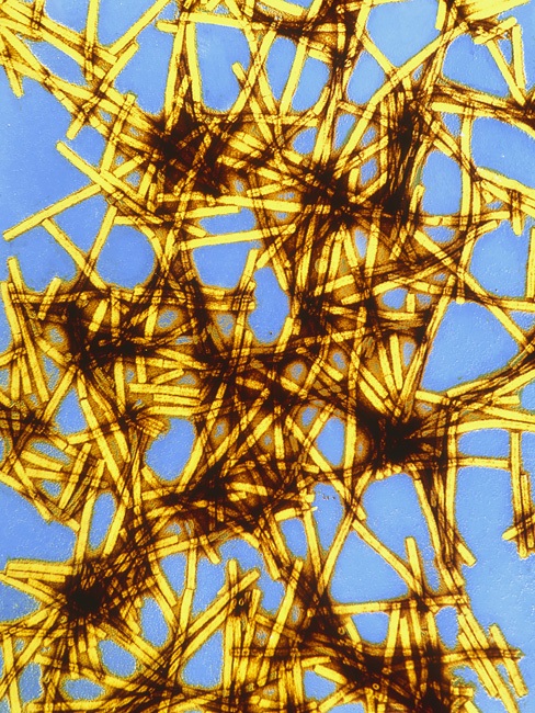 Необычный взгляд на обычные вещи