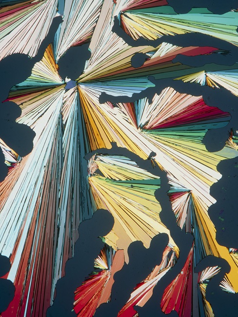 Необычный взгляд на обычные вещи