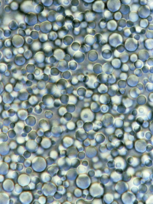 Необычный взгляд на обычные вещи