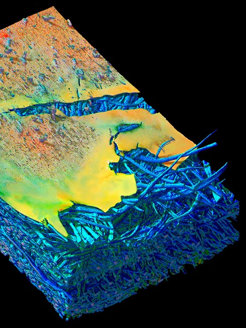 Необычный взгляд на обычные вещи