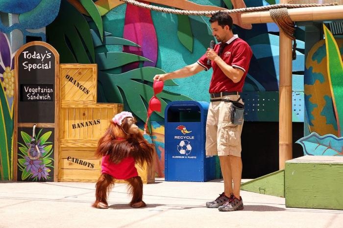 Universal Studios в Лос-Анджелесе (30 фото + 1 видео)