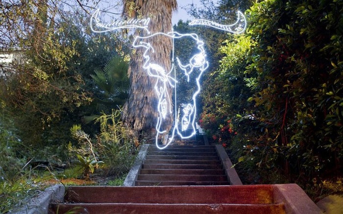 Знаки зодиака, нарисованные светом (12 фото)