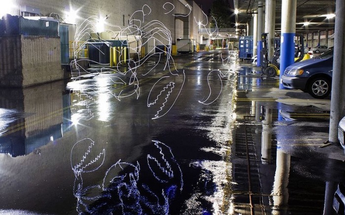 Знаки зодиака, нарисованные светом (12 фото)