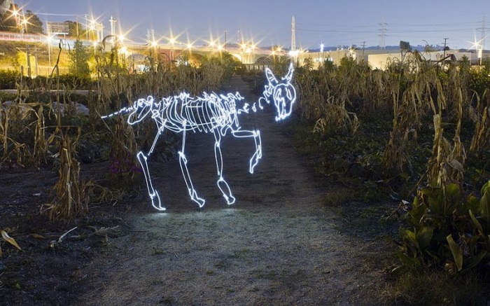 Знаки зодиака, нарисованные светом (12 фото)