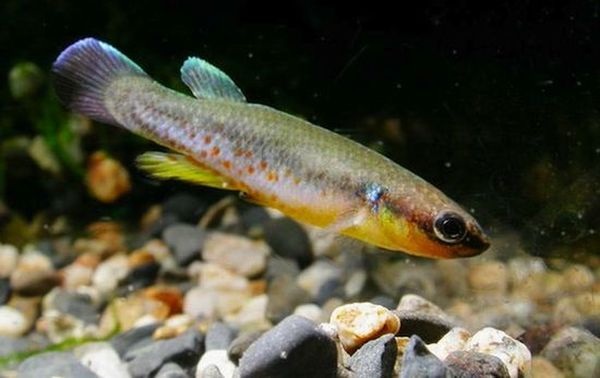 6 удивительных вещей, о которых мир узнал благодаря Стивену Хокингу (7 фото)