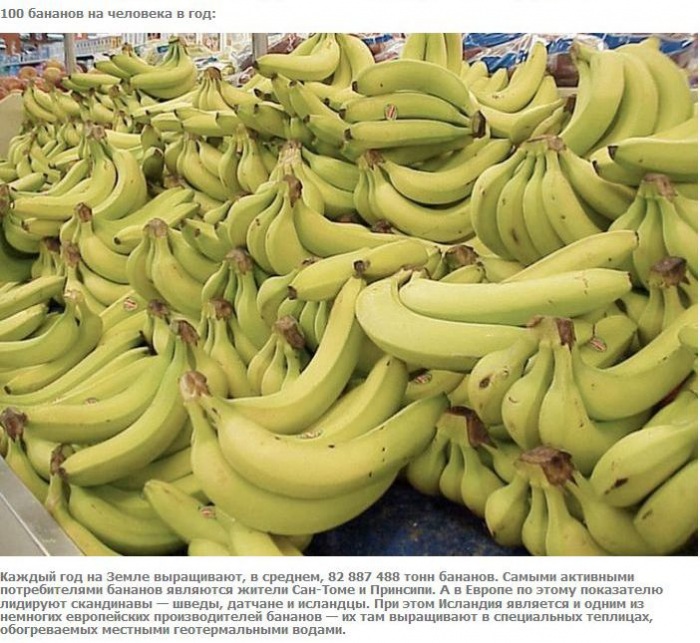 А что если взять и поделить? (27 фото)