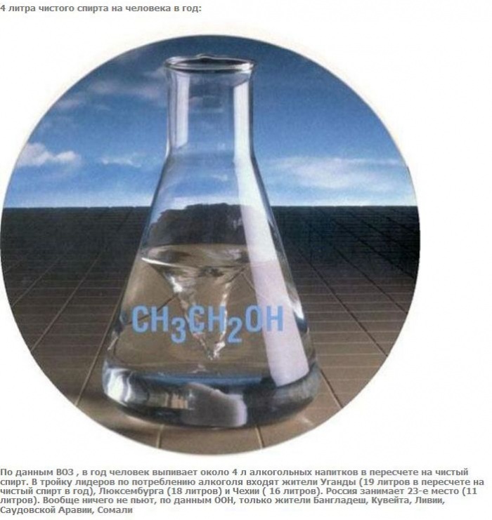 А что если взять и поделить? (27 фото)