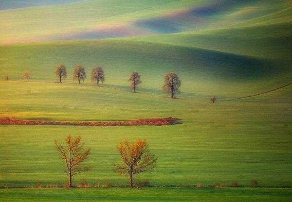 Удивительные волны на полях Моравии