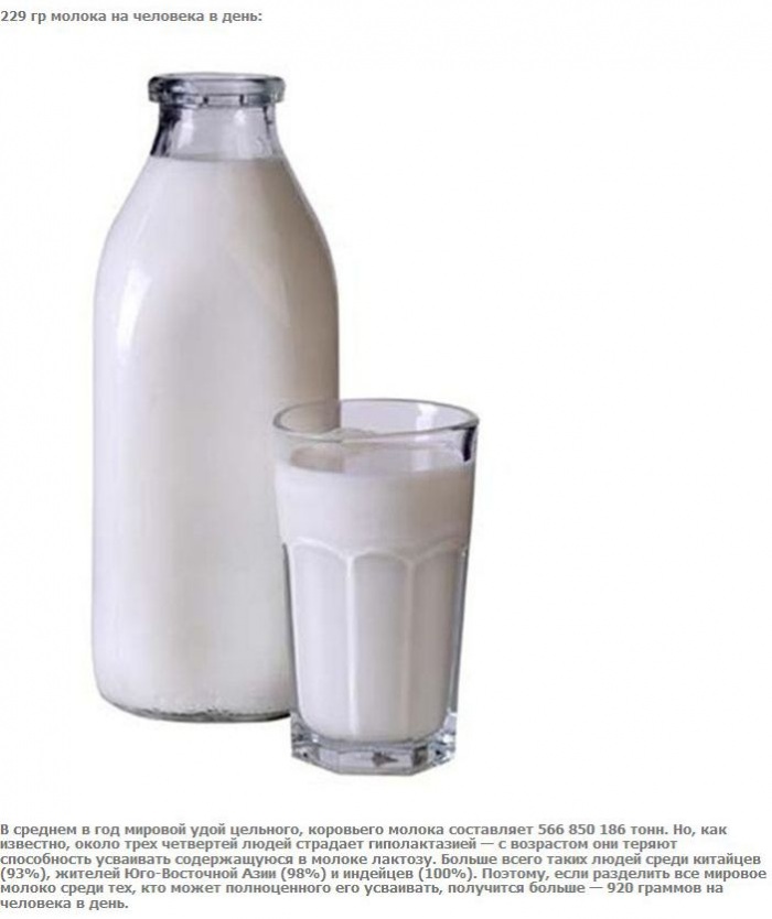 А что если взять и поделить? (27 фото)