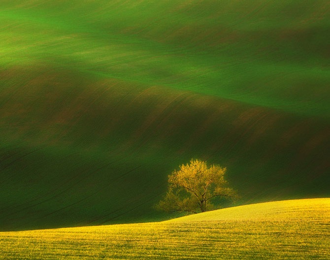 Удивительные волны на полях Моравии