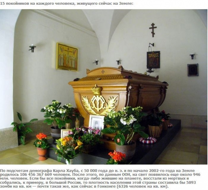 А что если взять и поделить? (27 фото)