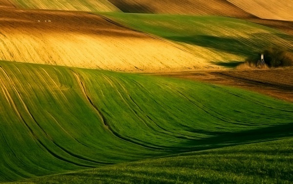 Удивительные волны на полях Моравии