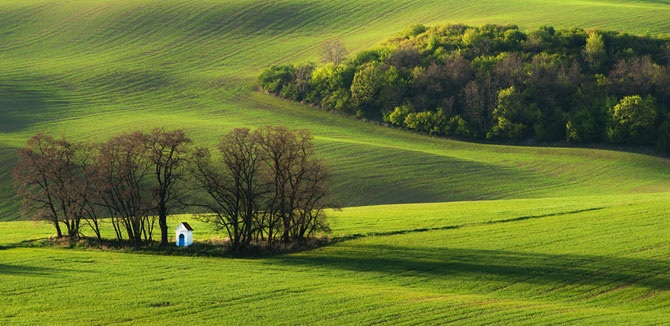 Удивительные волны на полях Моравии
