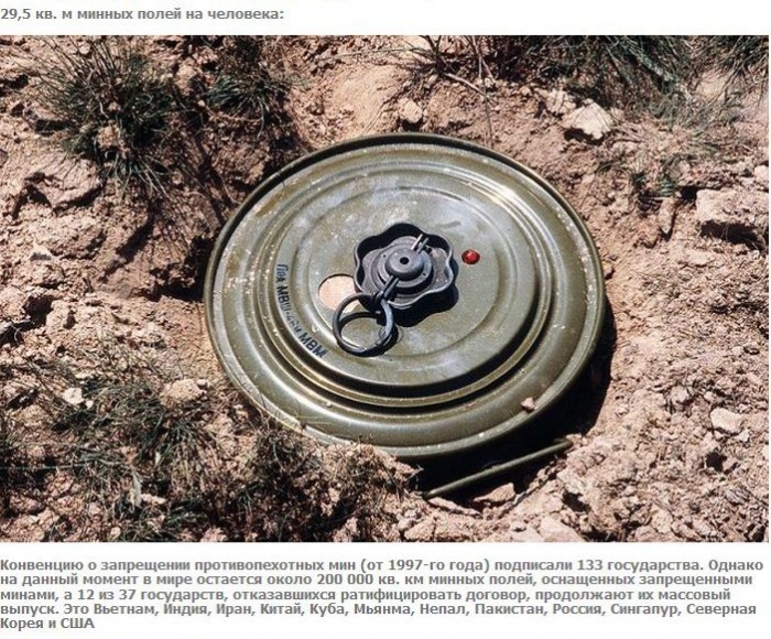 А что если взять и поделить? (27 фото)