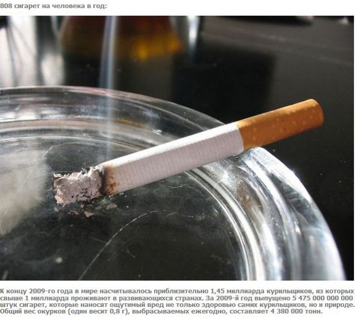 А что если взять и поделить? (27 фото)