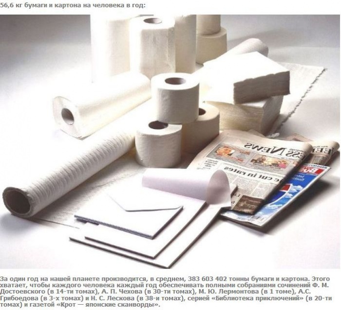 А что если взять и поделить? (27 фото)