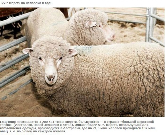 А что если взять и поделить? (27 фото)